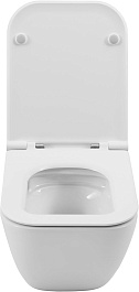 Allen Brau Унитаз подвесной Liberty 4.33011.20 белый с крышкой 4.33015.20 – фотография-17