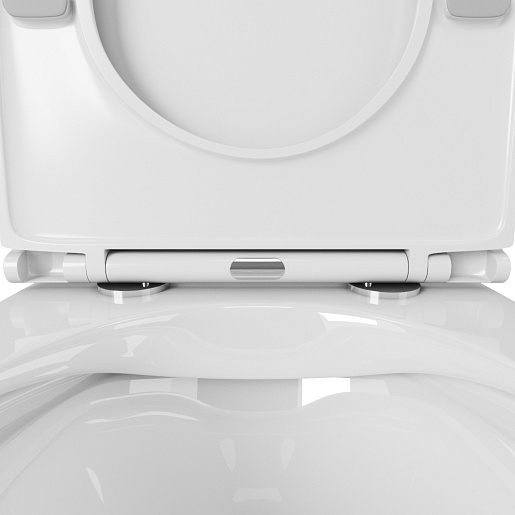 Owl 1975 Унитаз безободковый Vind Ruta-H с сиденьем DP микролифт – фотография-4