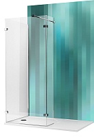 Roltechnik Душевое ограждение WALK D/1500
