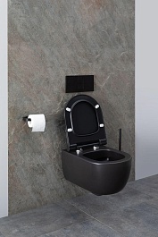 Allen Brau Унитаз подвесной Priority 4.31001.31 чёрный матовый с крышкой 4.31004.31 – фотография-19