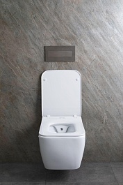 Allen Brau Чаша подвесного унитаза Liberty 4.33009.20 белый – фотография-26