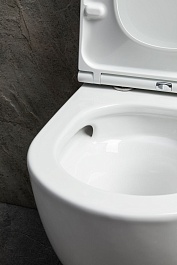 Allen Brau Унитаз подвесной Priority 4.31009.20 белый глянец с крышкой 4.31011.20 – фотография-9