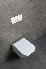 Allen Brau Унитаз подвесной Liberty 4.33011.20 белый с крышкой 4.33015.20 – фотография-7