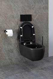 Allen Brau Унитаз подвесной Priority 4.31002.31 чёрный матовый с крышкой 4.31004.31 – фотография-23