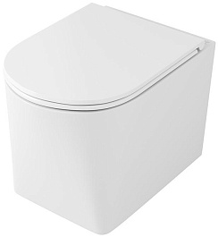 Owl 1975 Унитаз безободковый Curve Cirkel-H с сиденьем DP микролифт – фотография-1