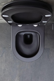 Allen Brau Чаша подвесного унитаза Priority 4.31002.AN антрацит – фотография-19