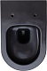 Allen Brau Унитаз подвесной Priority 4.31001.AN антрацит с крышкой 4.31004.AN – фотография-30