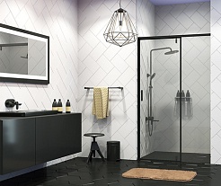 WasserKRAFT Душевая дверь Elbe 74P05 – фотография-3