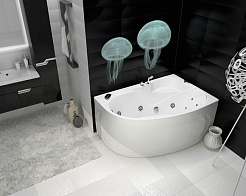 Triton Фронтальный экран Николь L – фотография-2