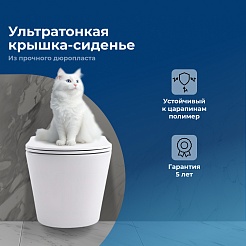 Aquanet Унитаз подвесной Rimless Atago 2.0 W LX-1905 – фотография-9