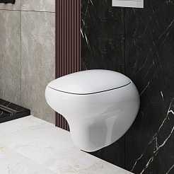 Ambassador Сиденье для унитаза Diamond белое – фотография-7