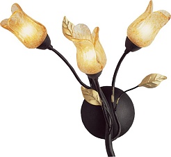 N-Light Бра BX-0205/3A – фотография-1