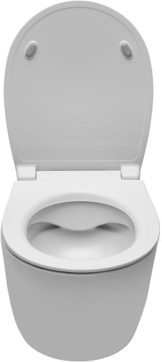 Allen Brau Чаша подвесного унитаза Fantasy 4.11004.21 белый матовый – картинка-3