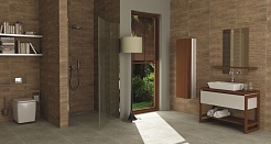 Kale Nordic – фотография-3