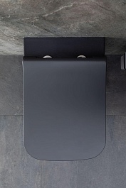 Allen Brau Чаша подвесного унитаза Infinity 4.21011.AN антрацит – фотография-25