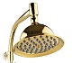 Timo Душевая система Nelson SX-1090 Gold – картинка-7