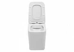 Aquanet Унитаз приставной Tavr-F BL-103N-FST – фотография-3