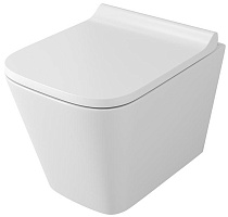 Owl 1975 Унитаз безободковый Vatter Ruta-H mini с сиденьем DP микролифт