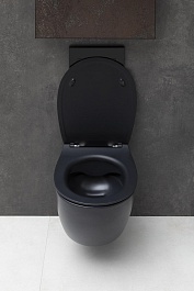 Allen Brau Чаша подвесного унитаза Fantasy 4.11004.31 чёрный матовый – фотография-12