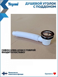 Teymi Душевой уголок Helmi 80х80 с поддоном T00602 – фотография-15