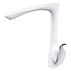 Raiber Смеситель для кухни Dunis R1202 – фотография-1