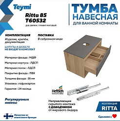 Teymi Тумба с раковиной Ritta 85 дуб эврика/графит матовый подвесная T60532 раковина T50505 – фотография-5