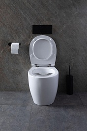 Allen Brau Унитаз приставной Fantasy 4.11007.20 белый глянец – фотография-36