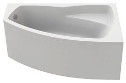 Bas Акриловая ванна Камея 170 R – фотография-3