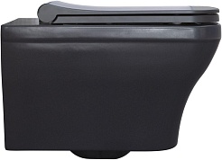 Allen Brau Чаша подвесного унитаза Infinity 4.21011.AN антрацит – фотография-13