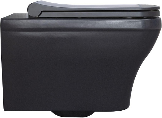 Allen Brau Чаша подвесного унитаза Infinity 4.21011.AN антрацит – картинка-13