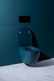 Allen Brau Чаша подвесного унитаза Fantasy 4.11004.PT петроль – фотография-12