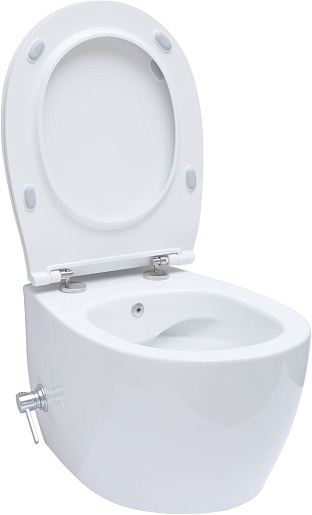 Allen Brau Унитаз подвесной Fantasy 4.11HC1.20 белый глянец с крышкой 4.11005.20 – фотография-30