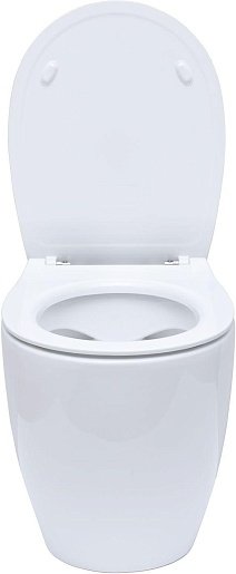Allen Brau Унитаз приставной Fantasy 4.11007.20 белый глянец – фотография-12