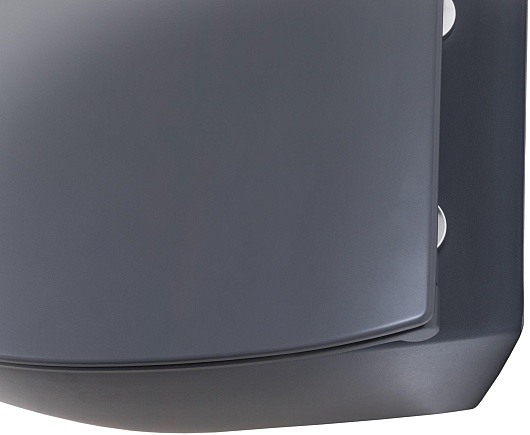 Allen Brau Унитаз подвесной Fantasy 4.11004.AN антрацит с крышкой 4.11005.AN – картинка-13