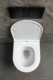 Allen Brau Унитаз подвесной Priority 4.31009.20 белый глянец с крышкой 4.31011.20 – фотография-7