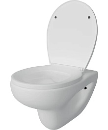 Teymi Унитаз подвесной Hanna Pro T40901 – фотография-11