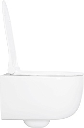 Allen Brau Унитаз подвесной Priority 4.31002.20 белый глянец с крышкой 4.31004.20 – фотография-12