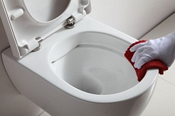 SSWW Унитаз NC 4455 – фотография-4