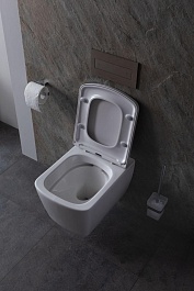 Allen Brau Унитаз с инсталляцией Liberty 4.33004.20/8.9466.0.000.000.1 белый глянец – фотография-10