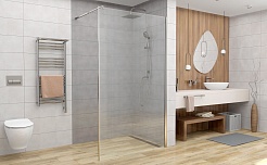 DTO Душевая перегородка MC 100 Chrome – фотография-2