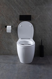 Allen Brau Чаша приставного унитаза Fantasy 4.11007.20 белый глянец – фотография-33