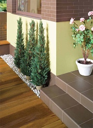 Коллекция плитки Opoczno Simple brown