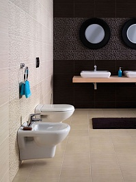 Коллекция плитки Opoczno Zebrano