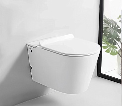 Ceruttispa Унитаз подвесной Argentera Aria CT10590 импульсный белый – фотография-2