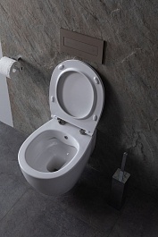 Allen Brau Чаша подвесного унитаза Fantasy 4.11HC1.20 белый глянец – фотография-5