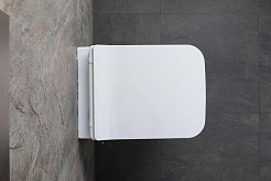 Allen Brau Чаша подвесного унитаза Liberty 4.33009.20 белый – фотография-16