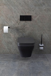 Allen Brau Унитаз подвесной Infinity 4.21011.AN антрацит с крышкой 4.21014.AN – фотография-27