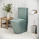 Grossman Унитаз компакт Color GR-4480MNMS мятный матовый – картинка-17