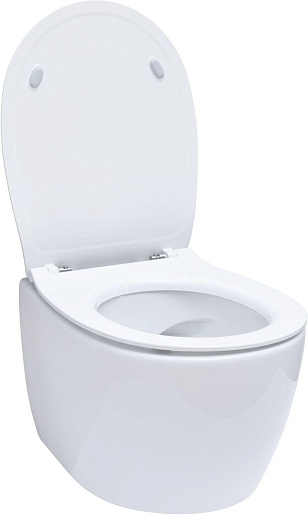 Allen Brau Чаша подвесного унитаза Fantasy 4.11004.20 белый глянец – картинка-5