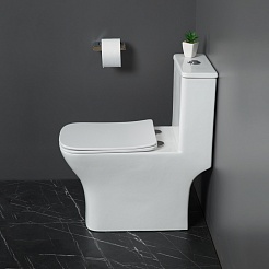 BelBagno Унитаз моноблок Neon BB8617CPR-MN/SC – фотография-7